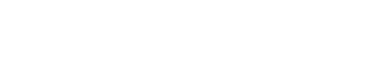 Interra logosu