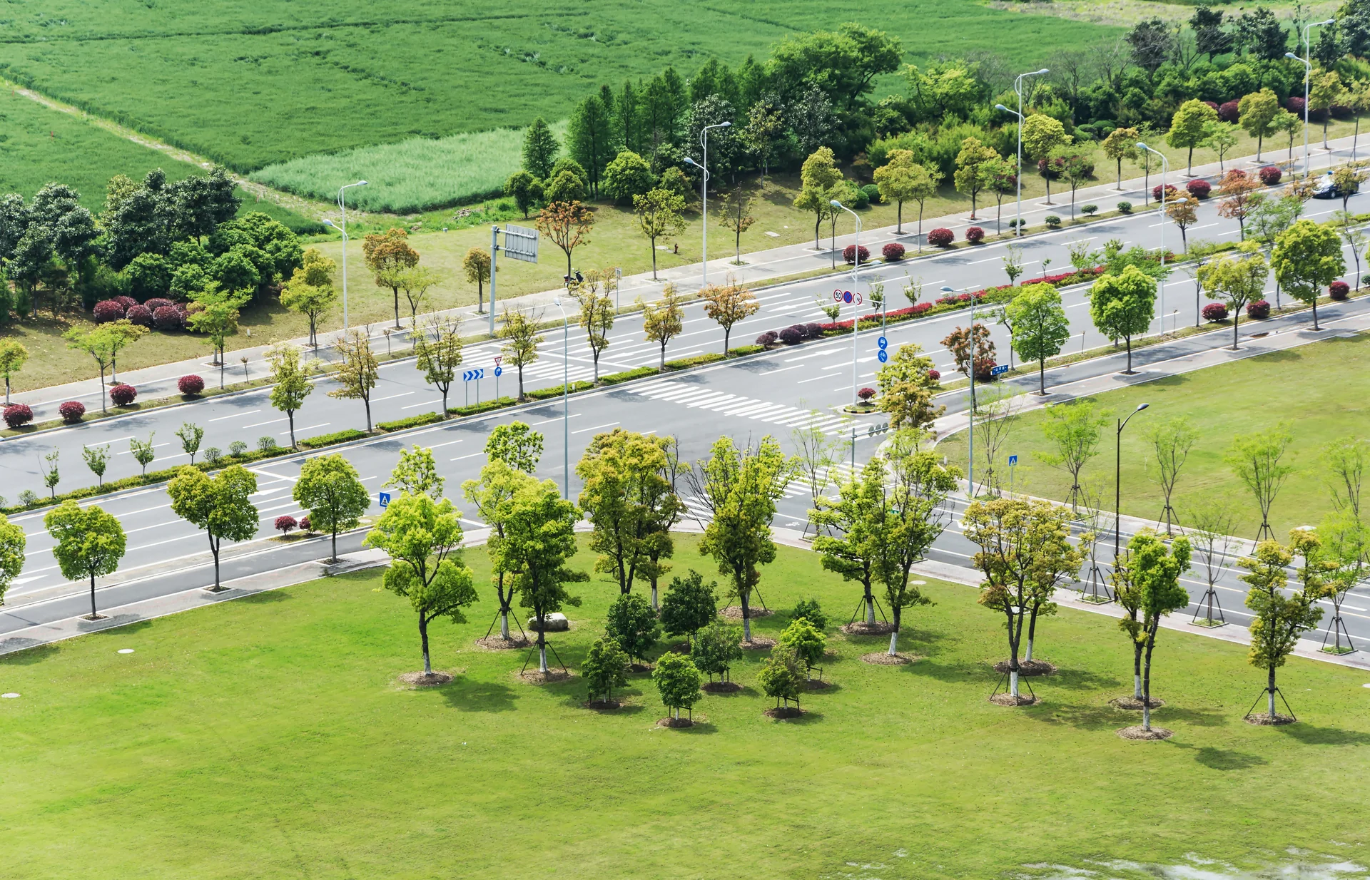 Ağaçlandırma ve yol peyzajıyla düzenlenmiş geniş kamusal alan